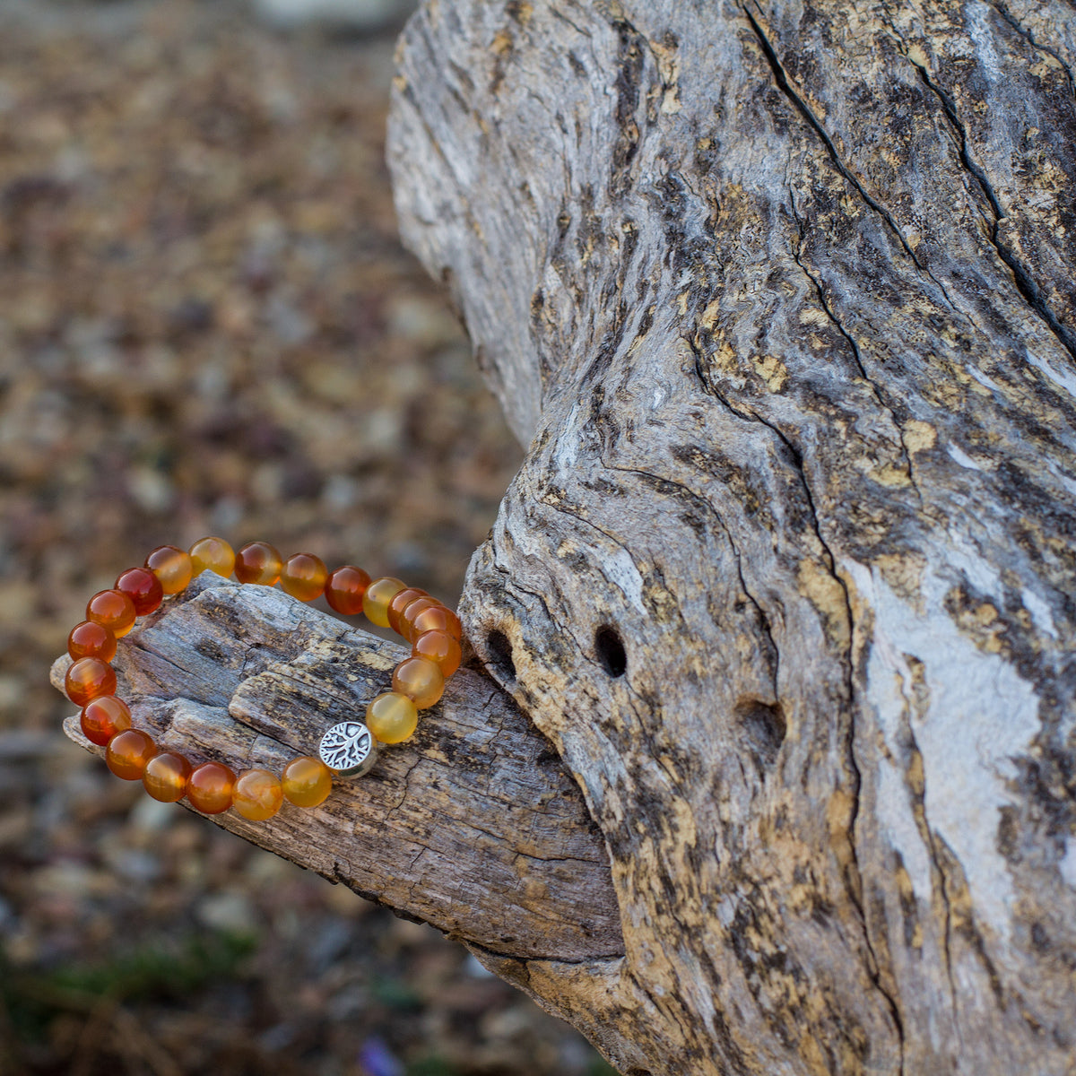 The Sunset Bracelet - Mi Chakra - Carnelian - South Africa