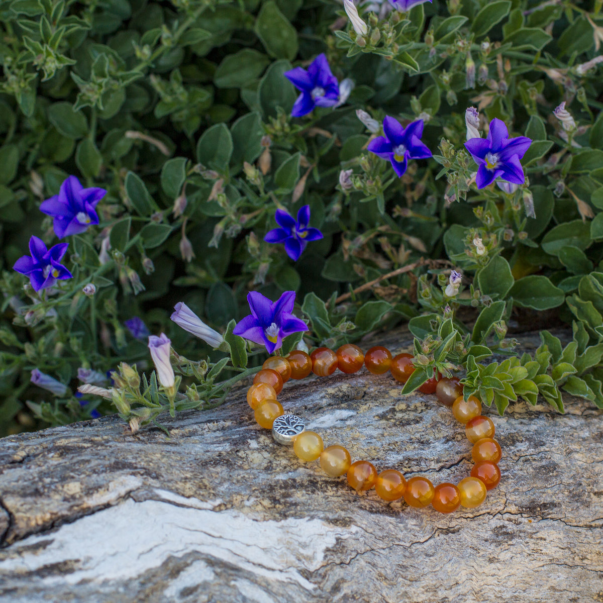 The Sunset Bracelet - Mi Chakra - Carnelian - South Africa