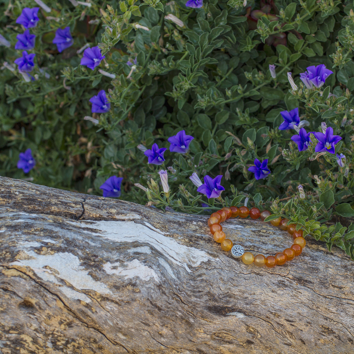 The Sunset Bracelet - Mi Chakra - Carnelian - South Africa